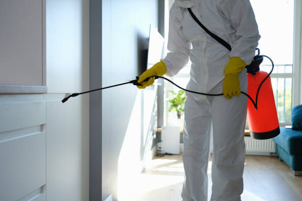 Best Emergency Mold Remediation  in Wmington, IL