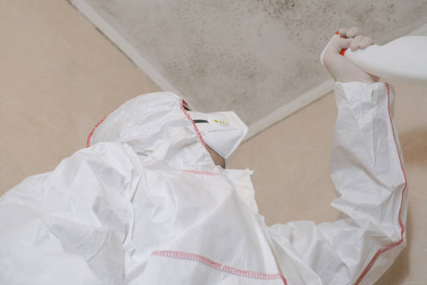 Best Crawl Space Mold Remediation  in Wmington, IL